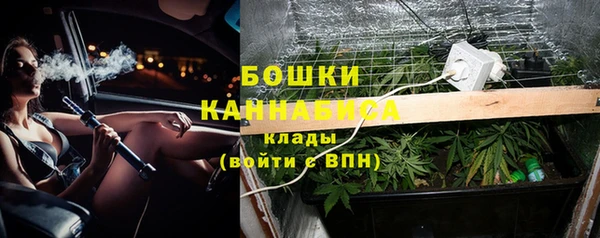 ECSTASY Магас
