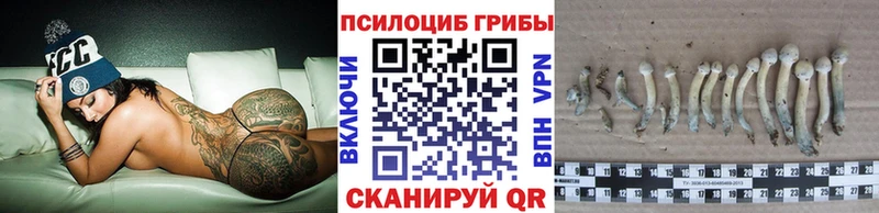 Псилоцибиновые грибы MAGIC MUSHROOMS  наркота  OMG tor  Мантурово 